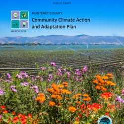 CCAAP Comment Demo thumbnail icon